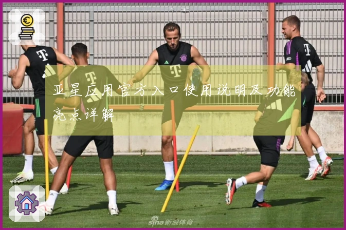 亚星应用官方入口使用说明及功能亮点详解