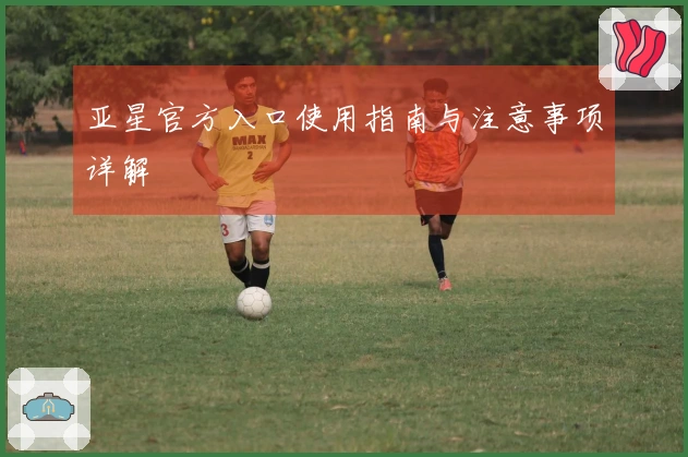 亚星官方入口使用指南与注意事项详解