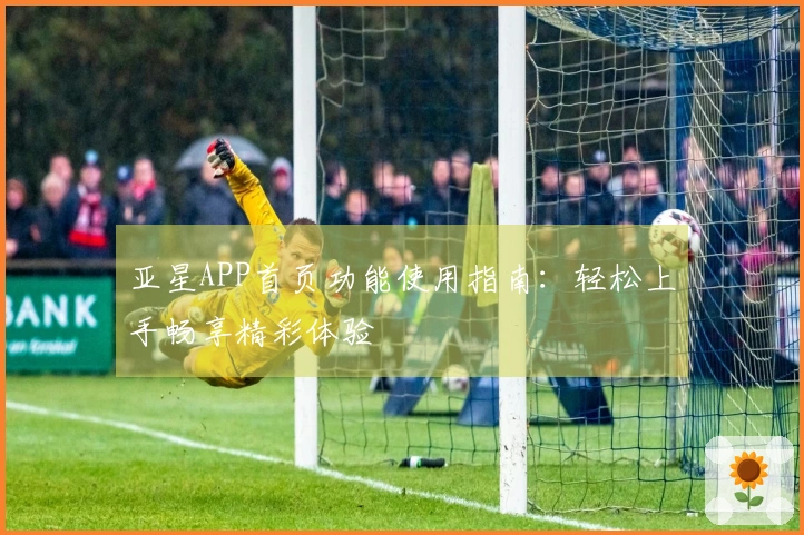 亚星APP首页功能使用指南：轻松上手畅享精彩体验